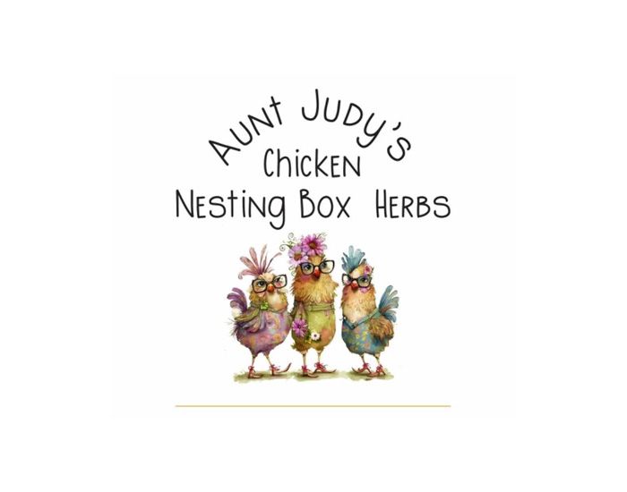 Aunt Judy's